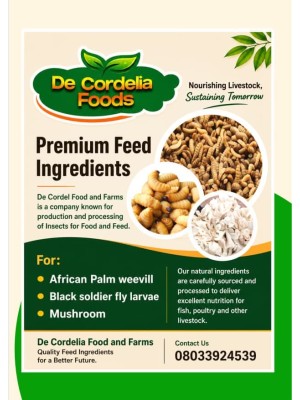 Cordelia Ebenebe, Decordelfoods And Farms Ltd